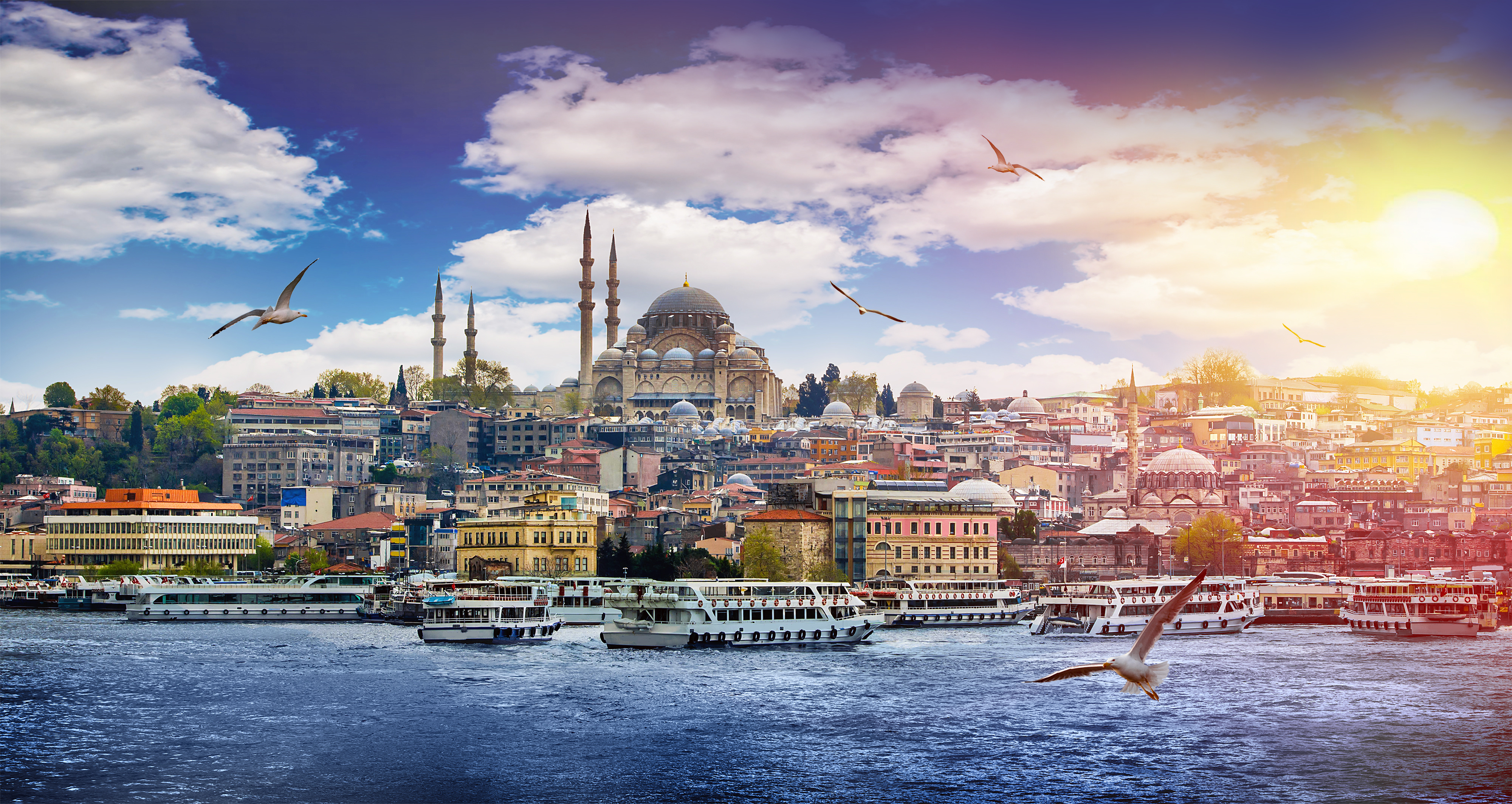 Istanbul im Sommer mit Möven