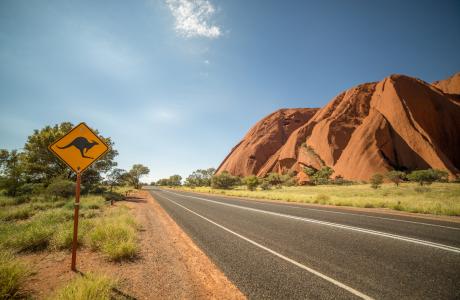 Eine Straße mit einem Warnschild vor Kängurus in Australien.